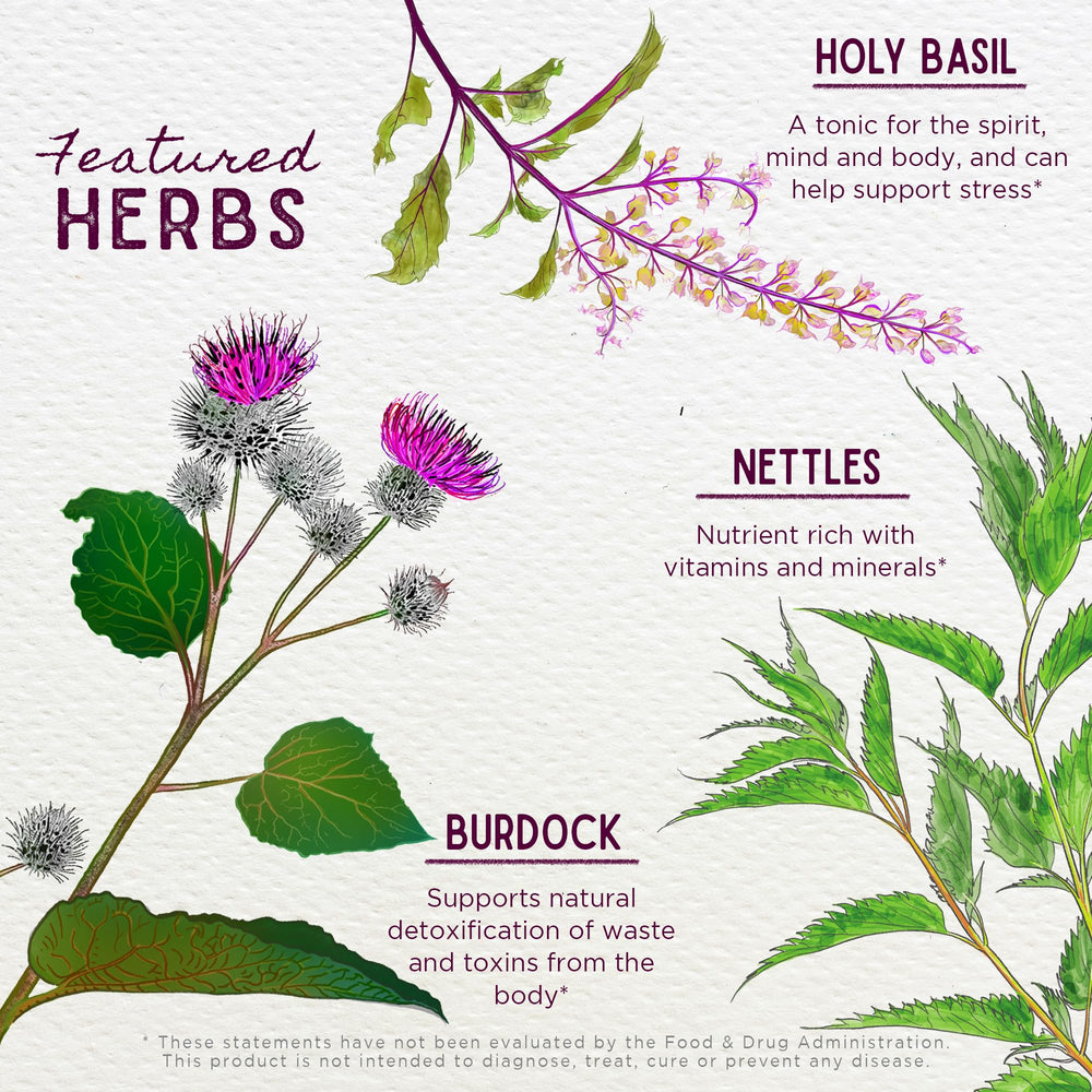WishGarden Cycle Changes close-up of black cohosh and vitex ingredients