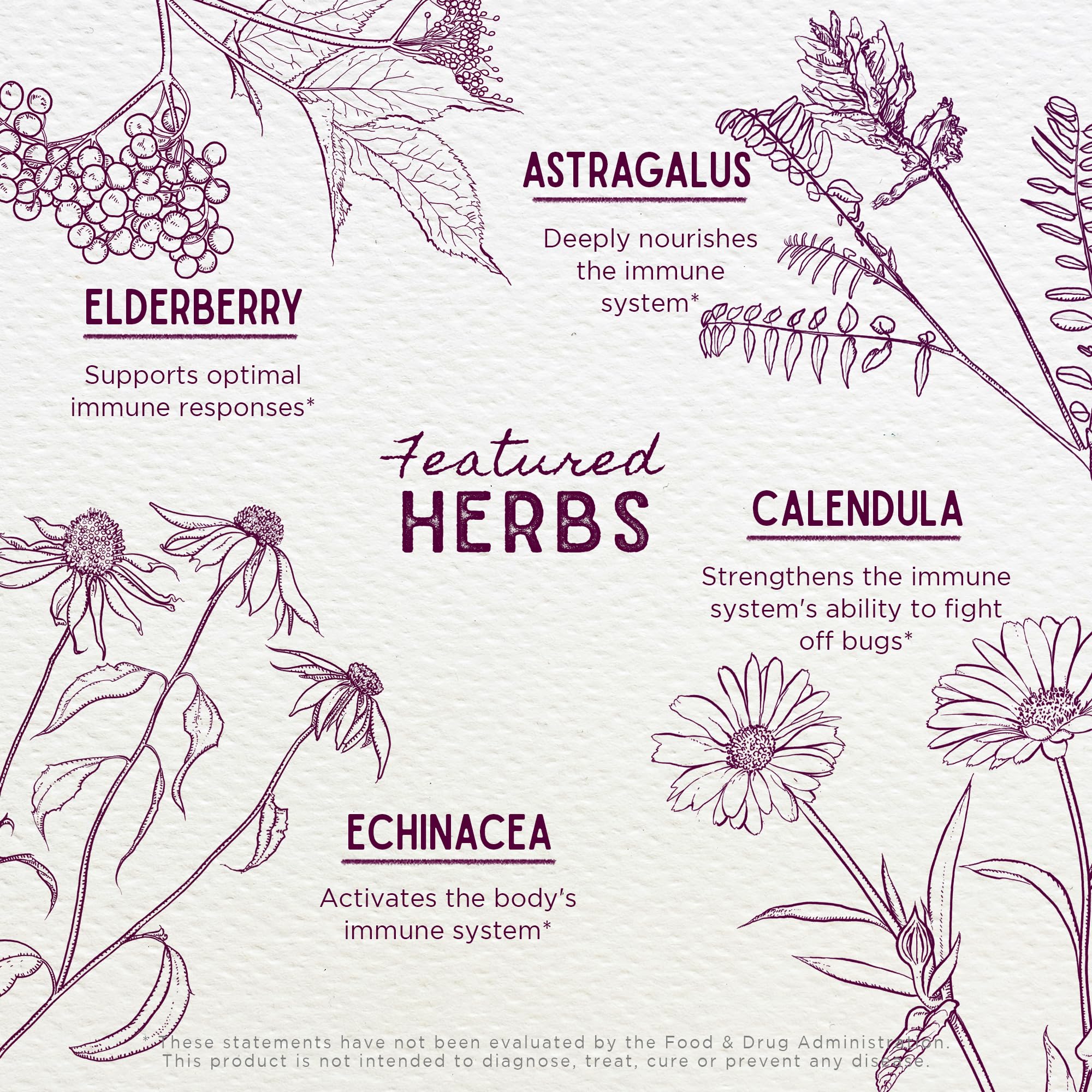 WishGarden Daily Immune for Kids elderberry image, natural immune support ingredients.
