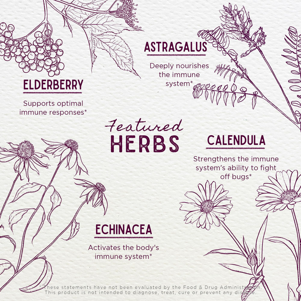WishGarden Daily Immune for Kids elderberry image, natural immune support ingredients.
