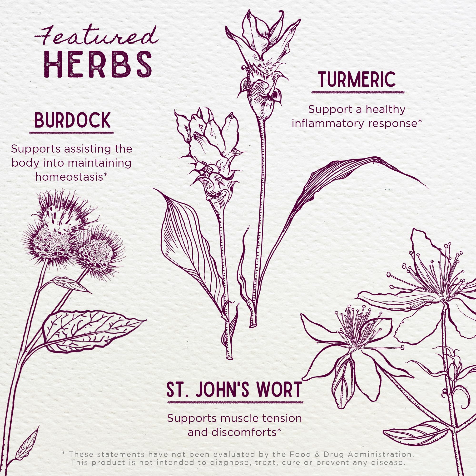 WishGarden Deep Recovery herbal blend closeup shows turmeric and willow bark