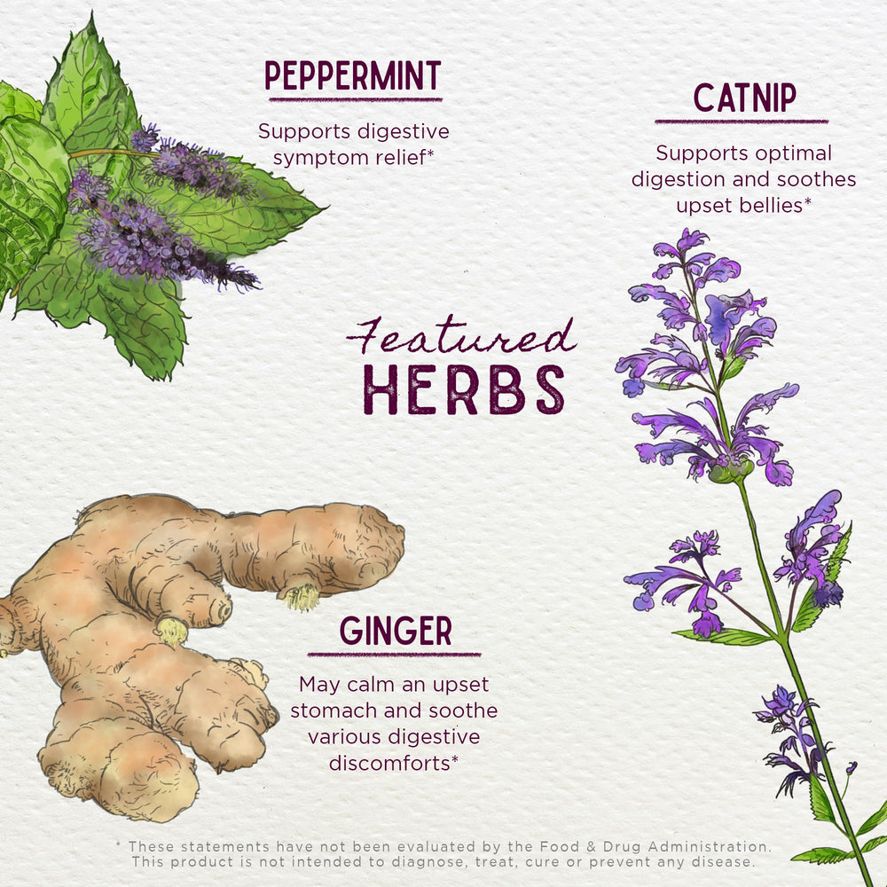 WishGarden Digestive Rescue for Kids organic ingredients illustration.