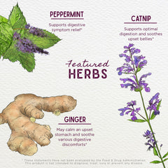 WishGarden Digestive Rescue for Kids organic ingredients illustration.