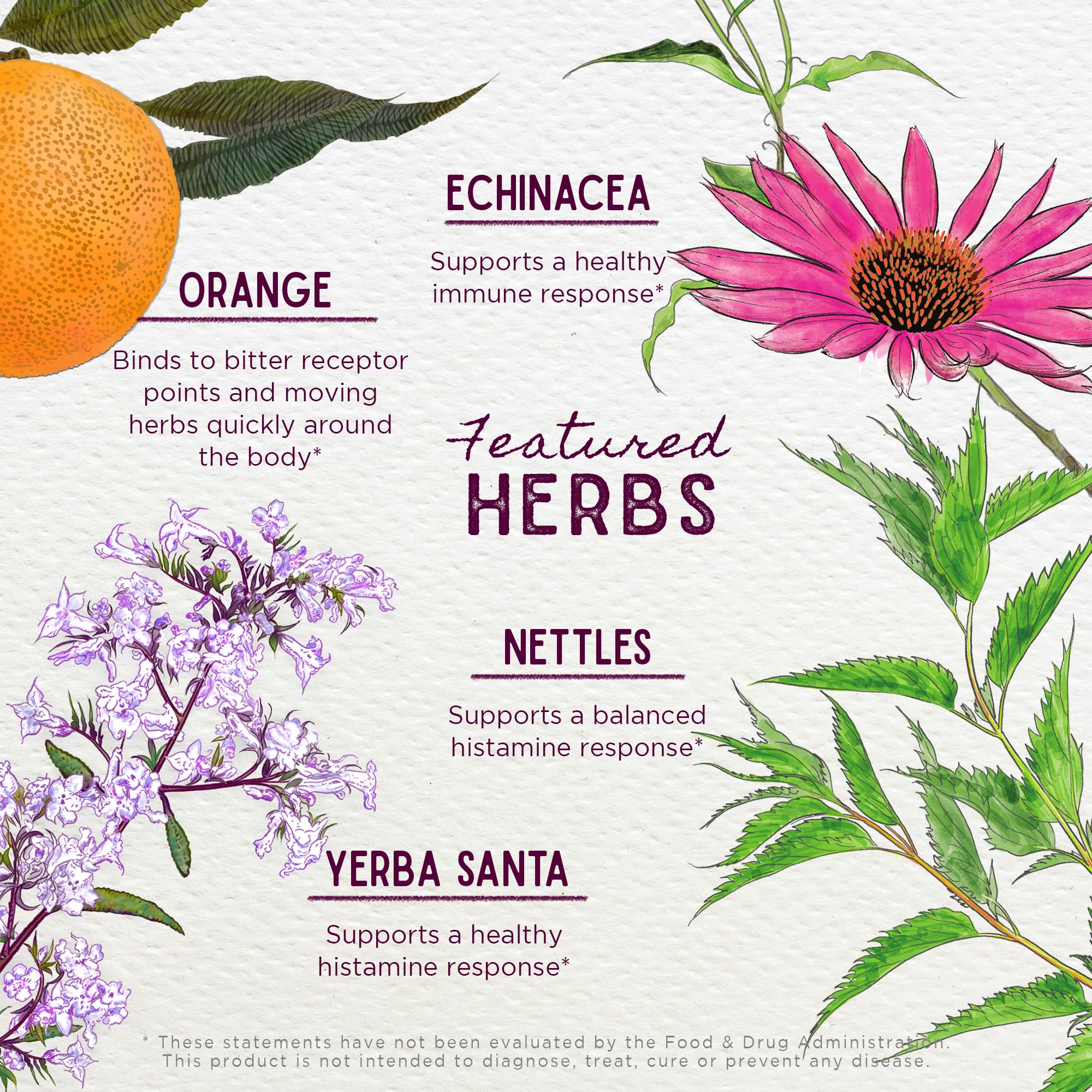 WishGarden Kick-Ass Allergy ingredients list including Echinace a and Nettles.