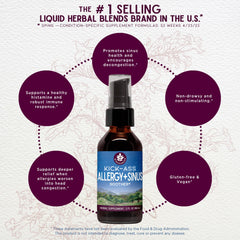 WishGarden Kick-Ass Allergy & Sinus ingredients blend close-up highlights organic herbs.