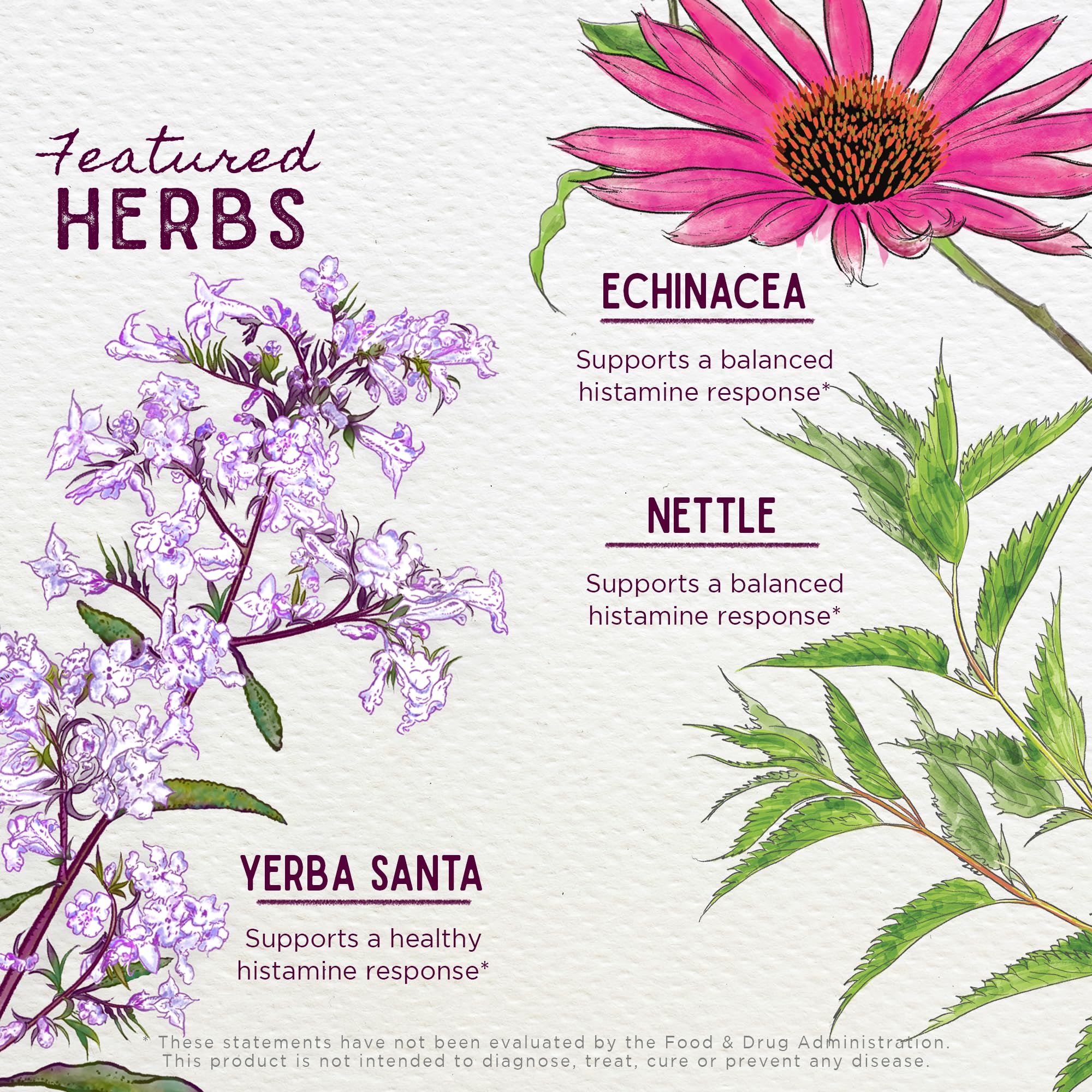 WishGarden Kick-Ass Allergy yerba santa leaf detail