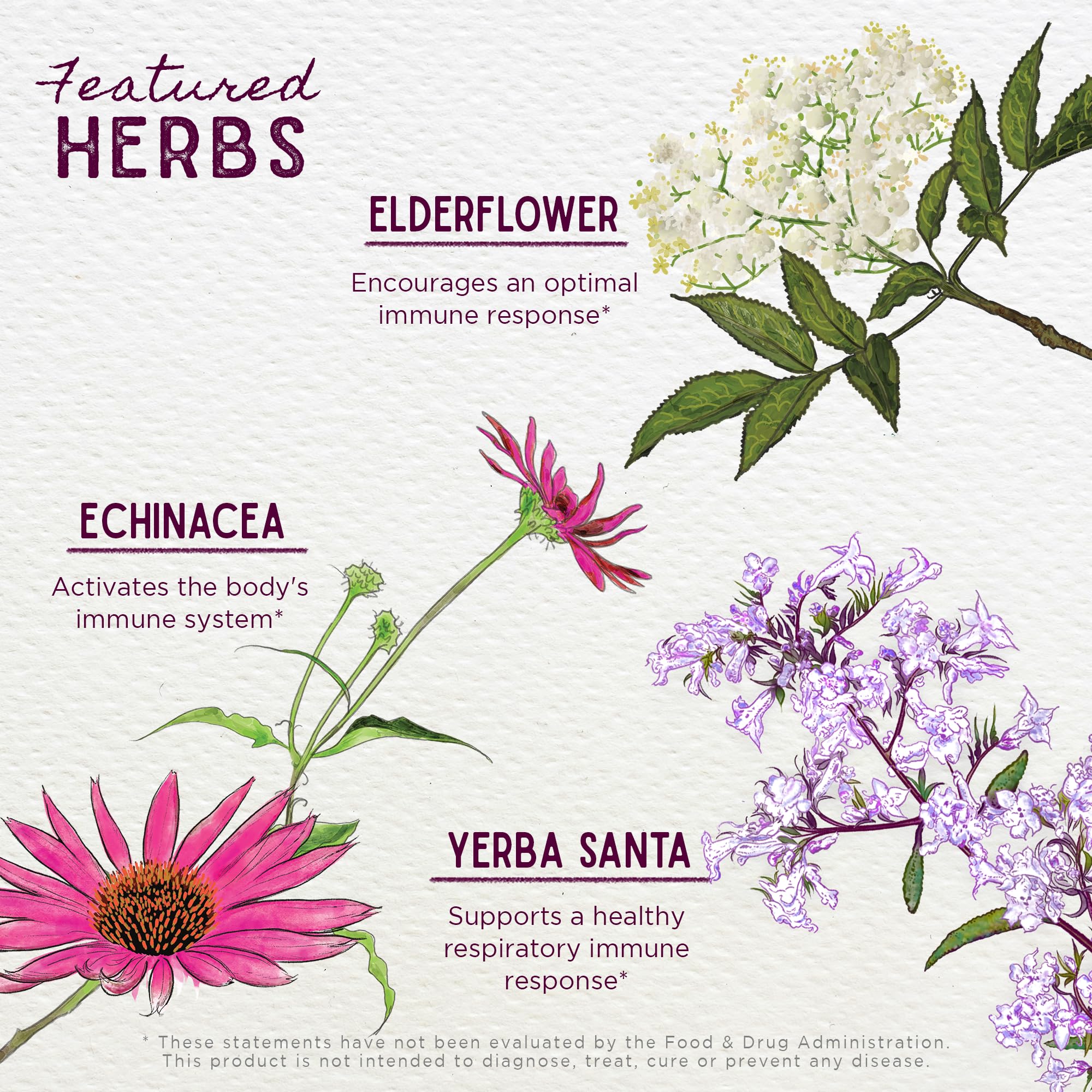 WishGarden label shows vegan, gluten-free, clean formula.