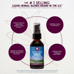 WishGarden Kick-Ass Sinus ingredients: elderflower, goldenrod, red root, and more.