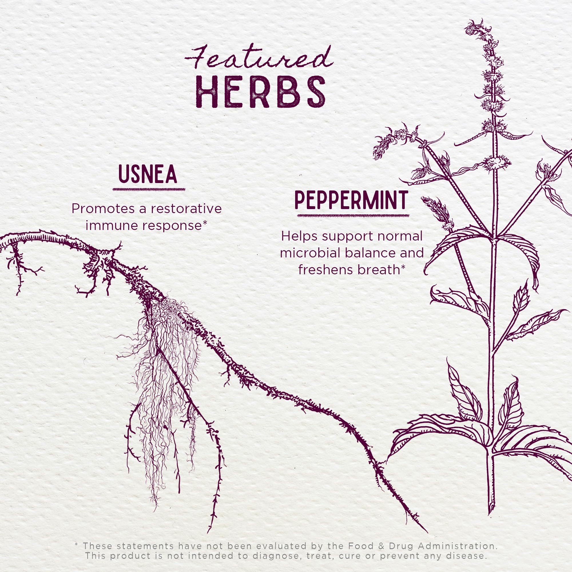 WishGarden Myrrh gum ingredient feature highlights traditional gum-supporting herb blend.