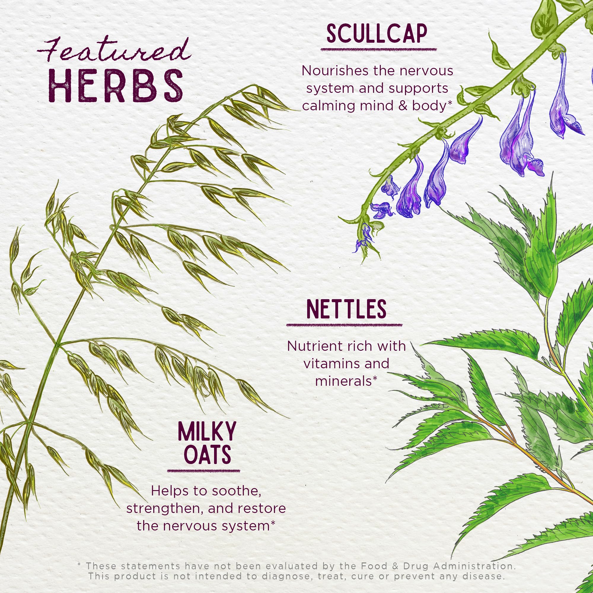 WishGarden Organic Willow Bark featured in tincture formulation.