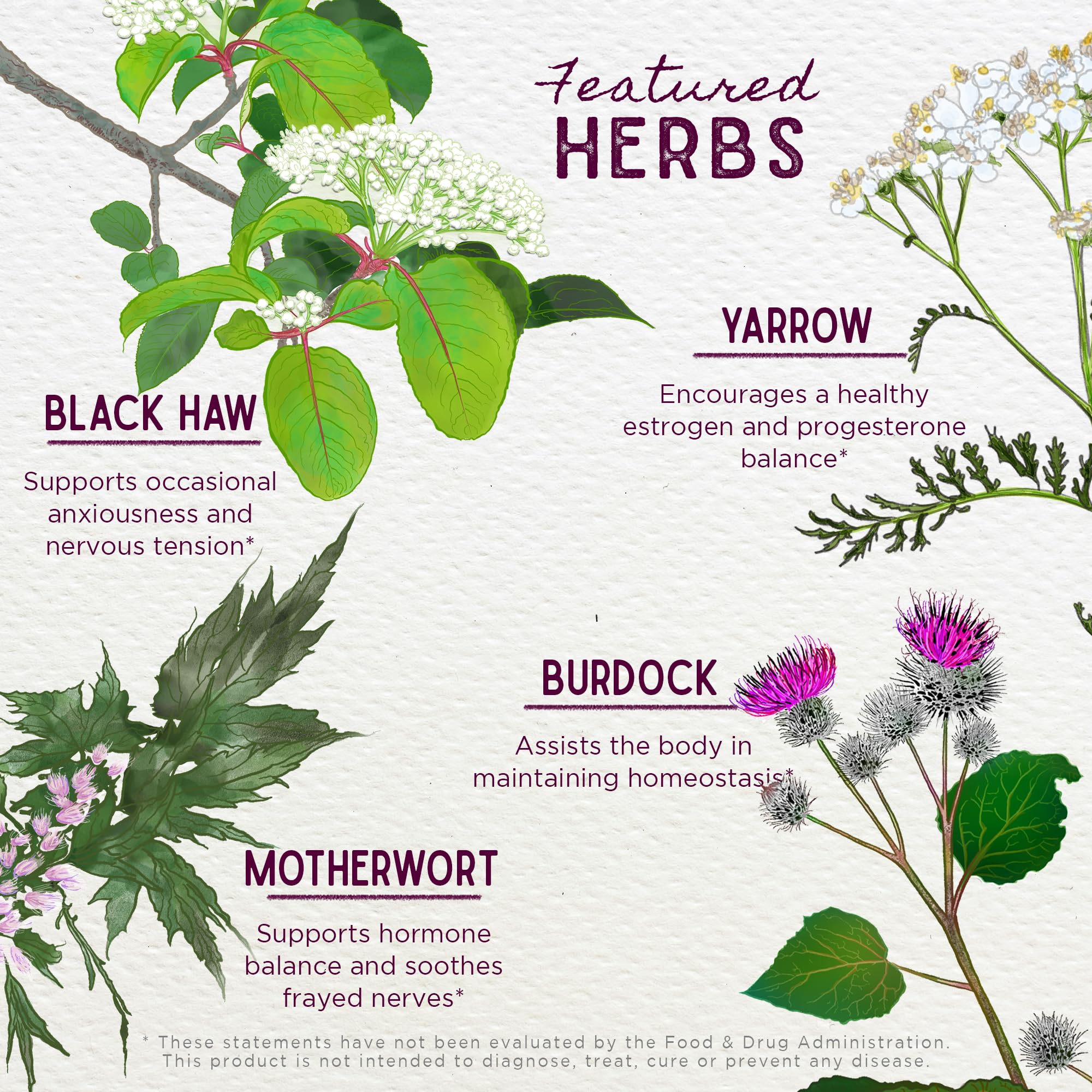 WishGarden ReBalance organic and wild-harvested herbs ensure quality in each bottle.