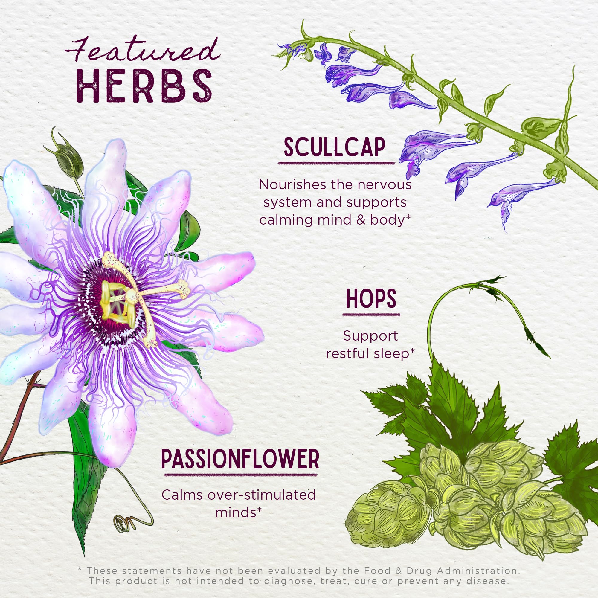 WishGarden Sleepy Nights hops extract emphasizes soothing, non-sedative sleep aid.
