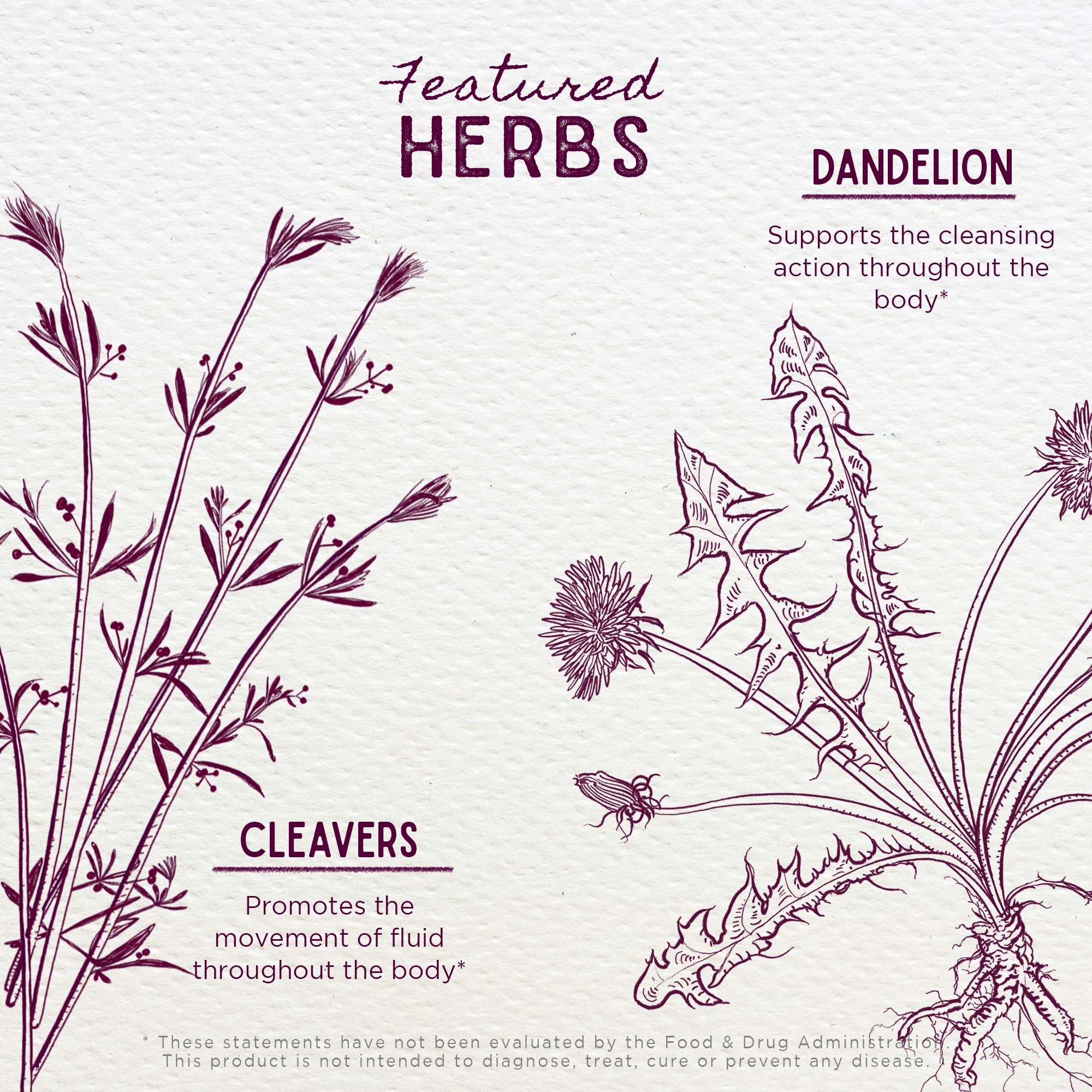 WishGarden Urinary Strength cranberry focus image highlighting fruit-based support.