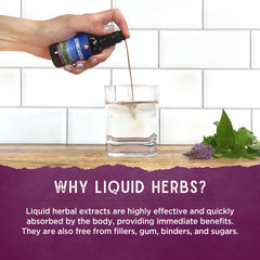 WishGarden Urinary Strength Uva Ursi leaf close-up showing active herbal ingredients.