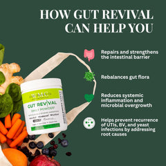 With Meraki Co. Gut Revival supplement with spoon illustrating convenient daily use for gut balance.