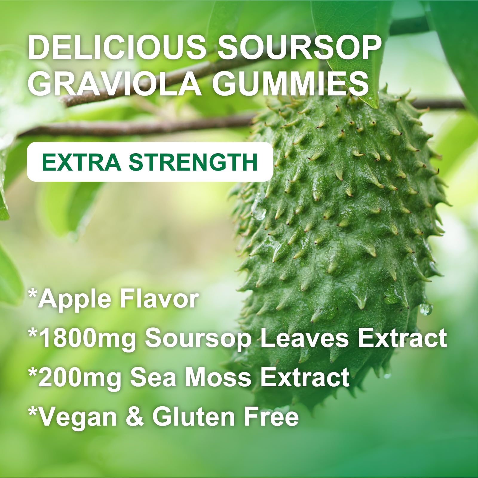 Lifestyle shot of taking WOGORGT Soursop Graviola gummies for daily wellness routine.