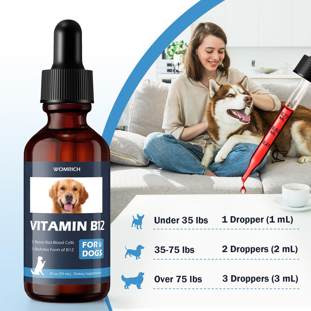 WOMRICH Appetite B12 for dogs illustrates energy support during active days
