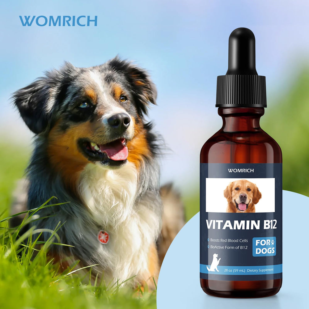 WOMRICH Appetite B12 with meals helps maintain steady energy and appetite across ages