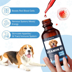 WOMRICH Appetite B12 liquid in amber bottle highlights convenient daily administration
