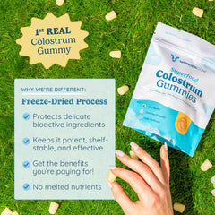 WonderCOW Colostrum Gummies chewy texture complements a simple wellness routine.