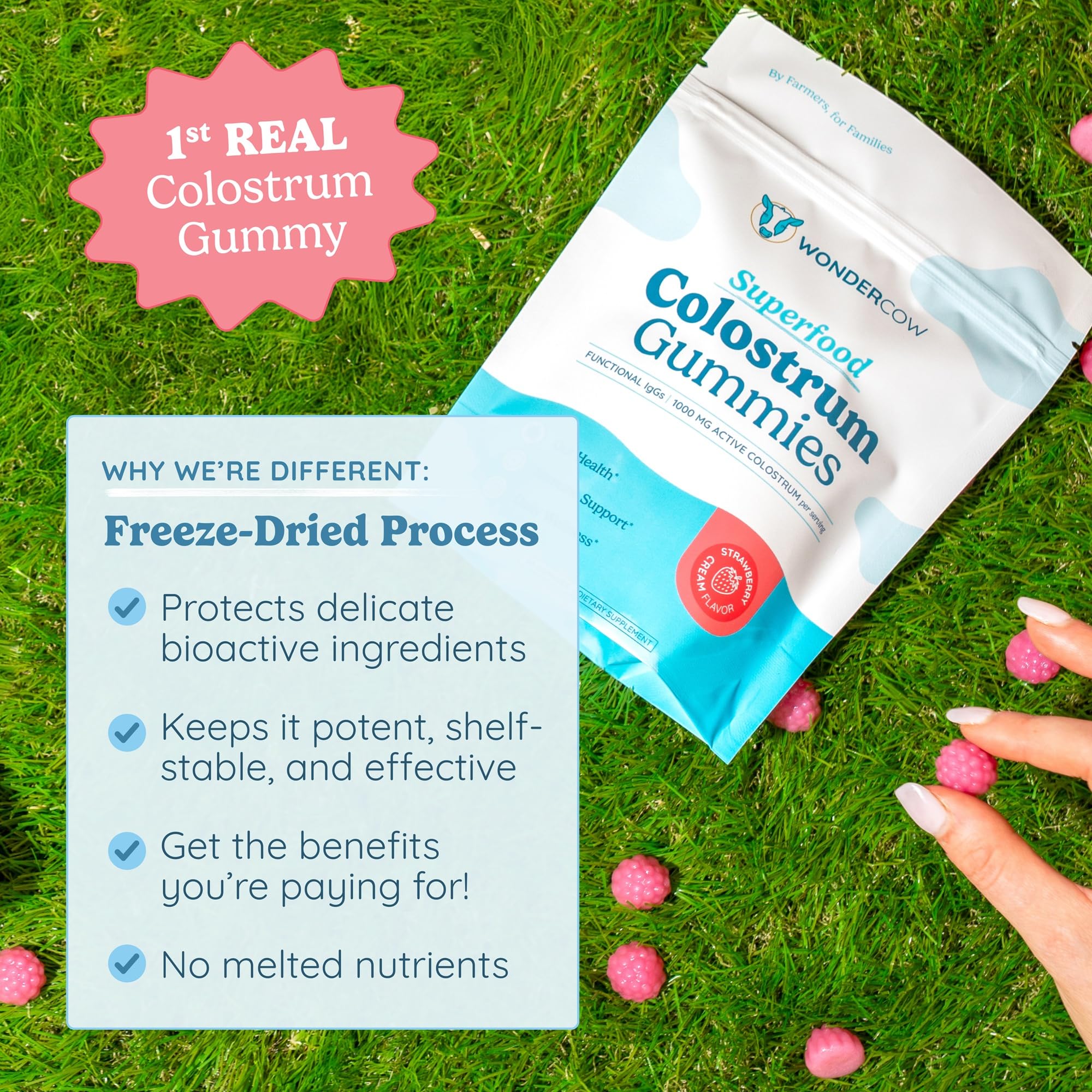 WONDERCOW Colostrum Gummies vanilla coating shown on gummy.