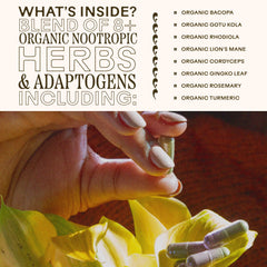 Wooden Spoon Herbs Bacopa plant highlights memory and learning support potential
