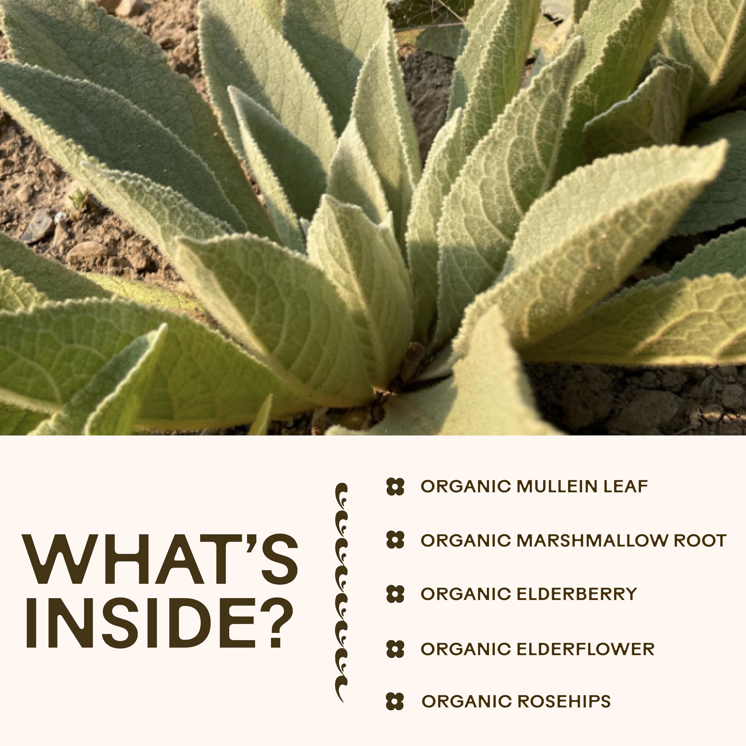 Wooden Spoon Herbs label close-up showcasing organic certification and ingredients.