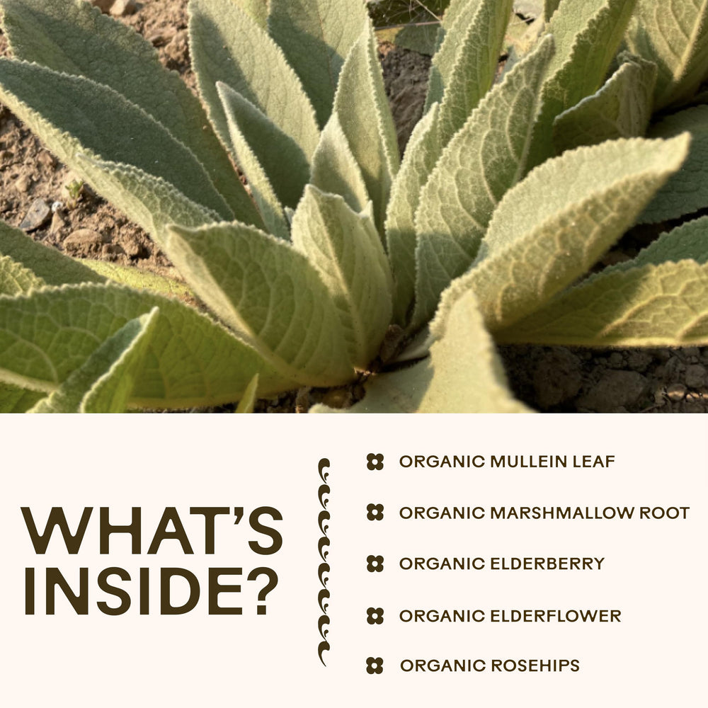 Wooden Spoon Herbs label close-up showcasing organic certification and ingredients.