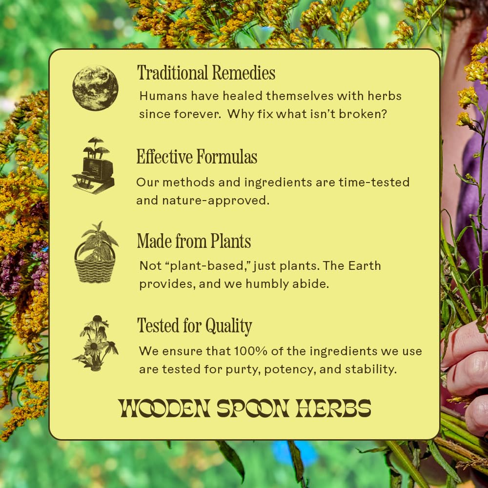 Wooden Spoon Herbs Oregano Daily Wellness 90-count bottle packaging.