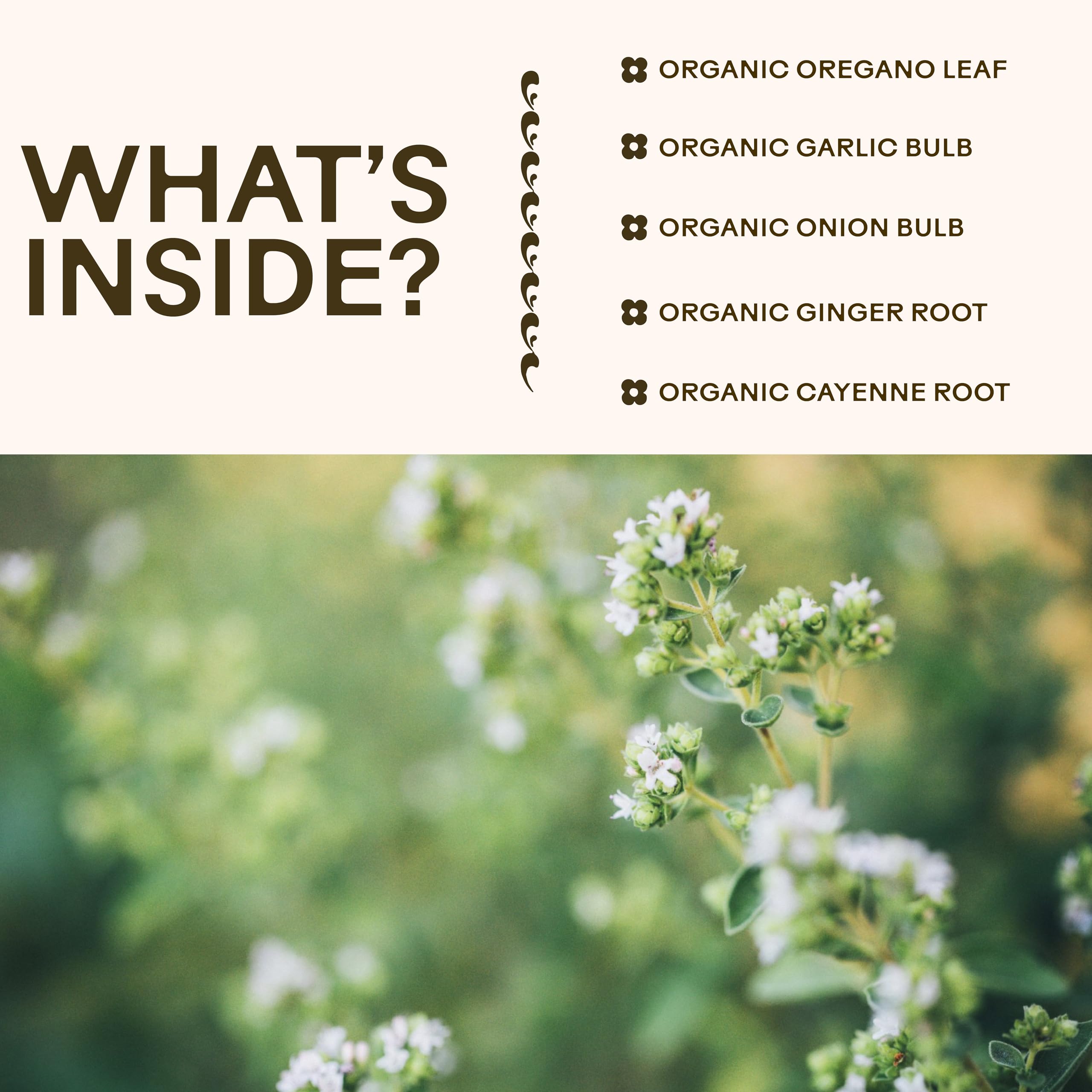 Wooden Spoon Herbs Oregano Daily Wellness ginger root highlight for antioxidant support.