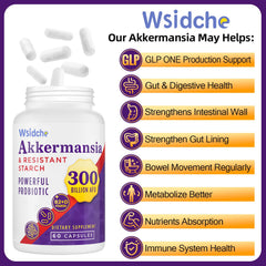 Wsidche Akkermansia capsules for daily-use, convenient gut support.