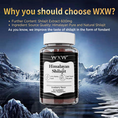 WXW Pure Himalayan Shilajit Gummies spoon serving for daily wellness