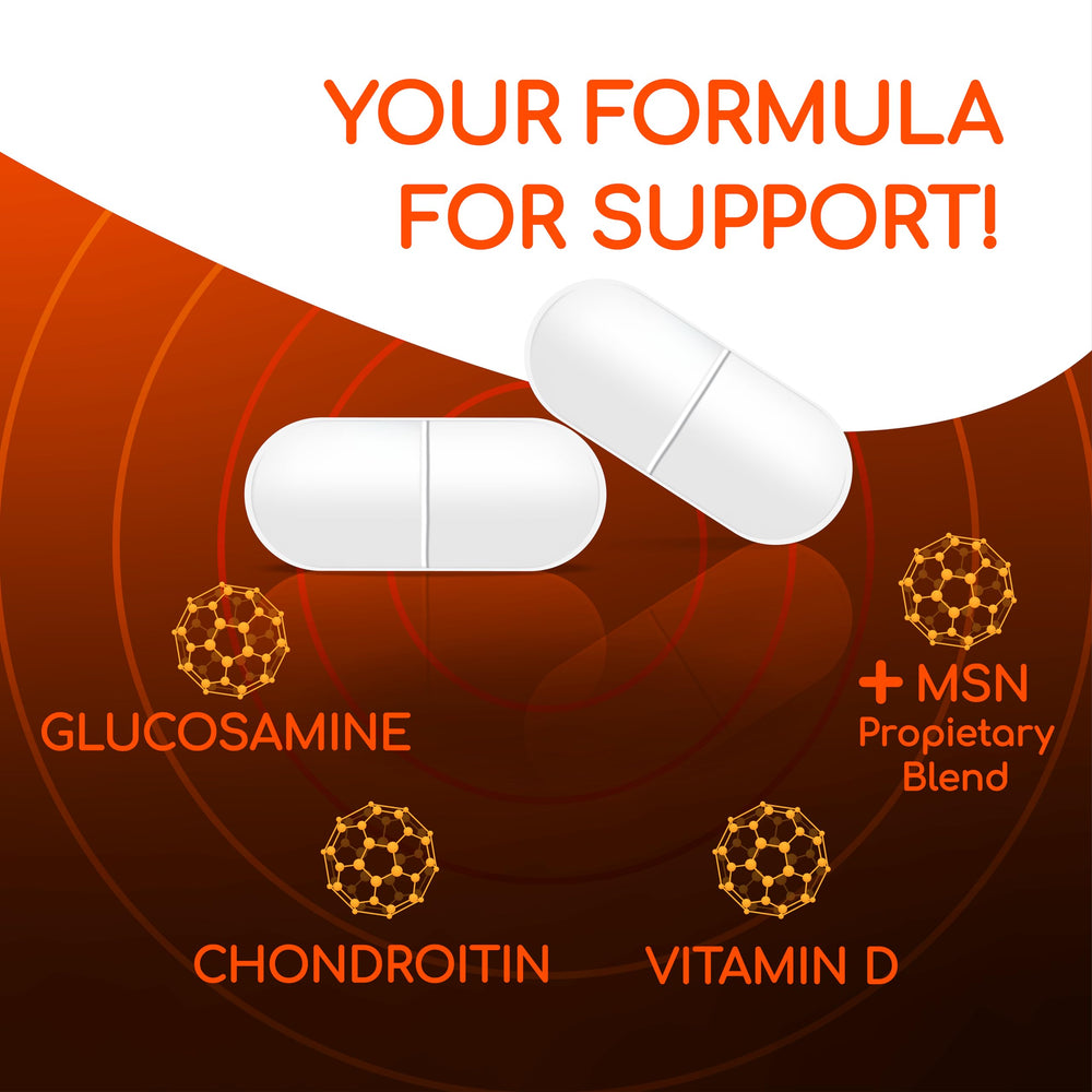 X Ray Dol chondroitin ingredient emphasizing joint cartilage health.