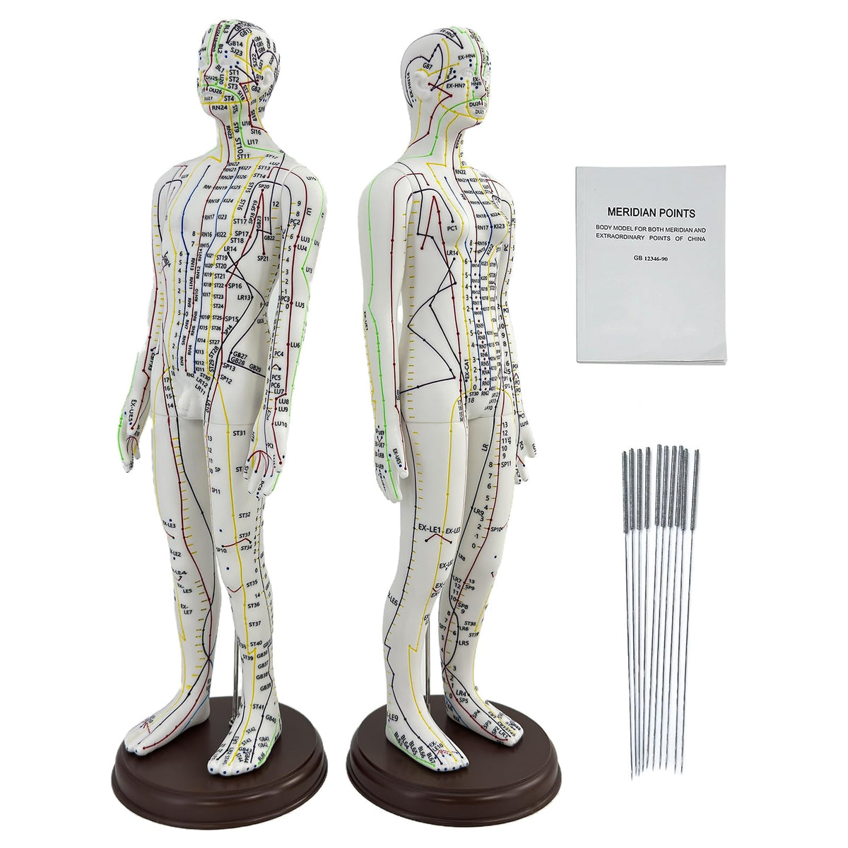 XDKHAEA acupuncture doll 1/3 scale male with engraved acupoints for precise study.