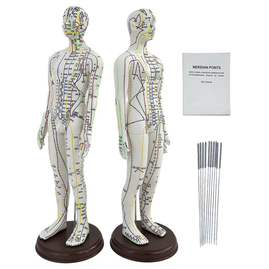 XDKHAEA acupuncture doll 1/3 scale male with engraved acupoints for precise study.