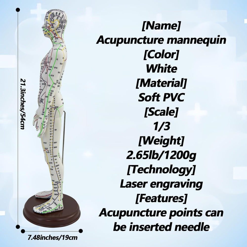 XDKHAEA English acupoint guide included for clear point reference.