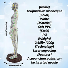 XDKHAEA English acupoint guide included for clear point reference.