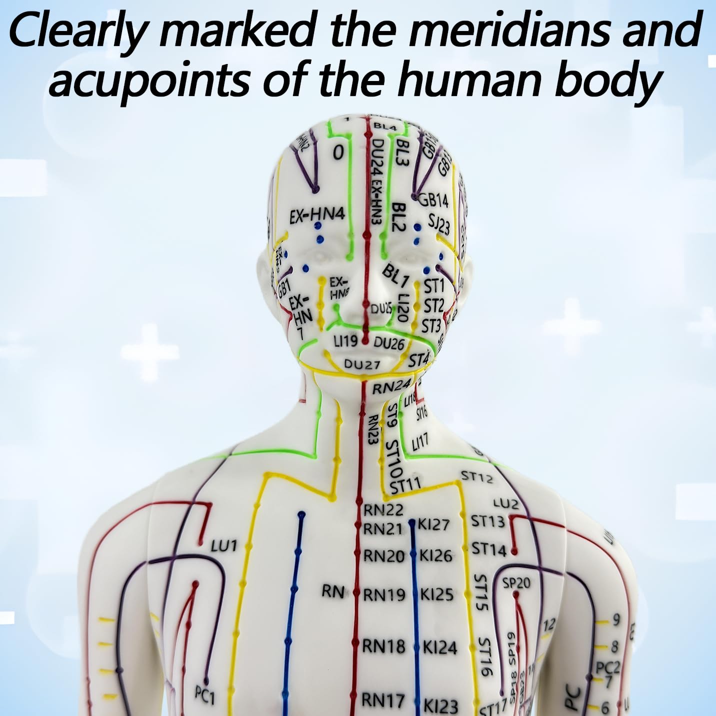 XDKHAEA extra-meridian points highlighted on the model for broader learning.