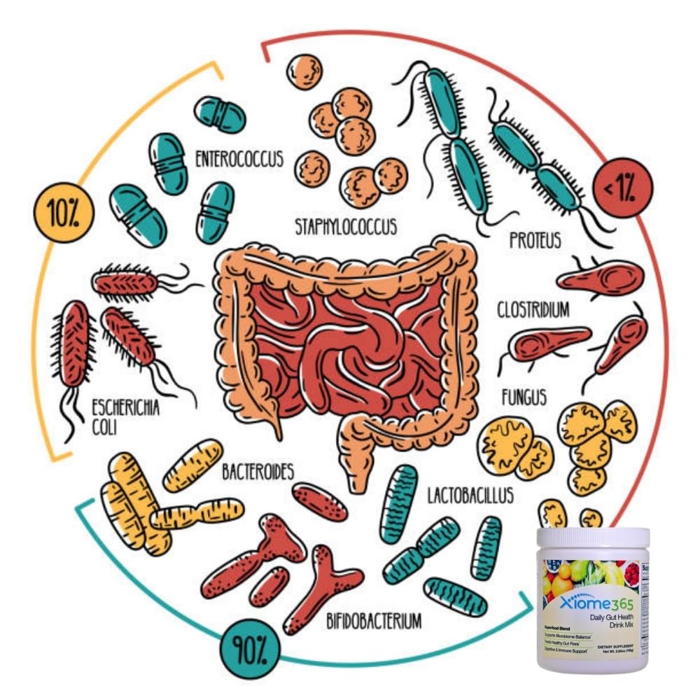Xooma Xiome365 travel pack offers on-the-go gut support.