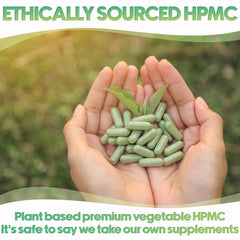 XPRS Nutra 5000-count bulk option ideal for long-term DIY capsule projects.