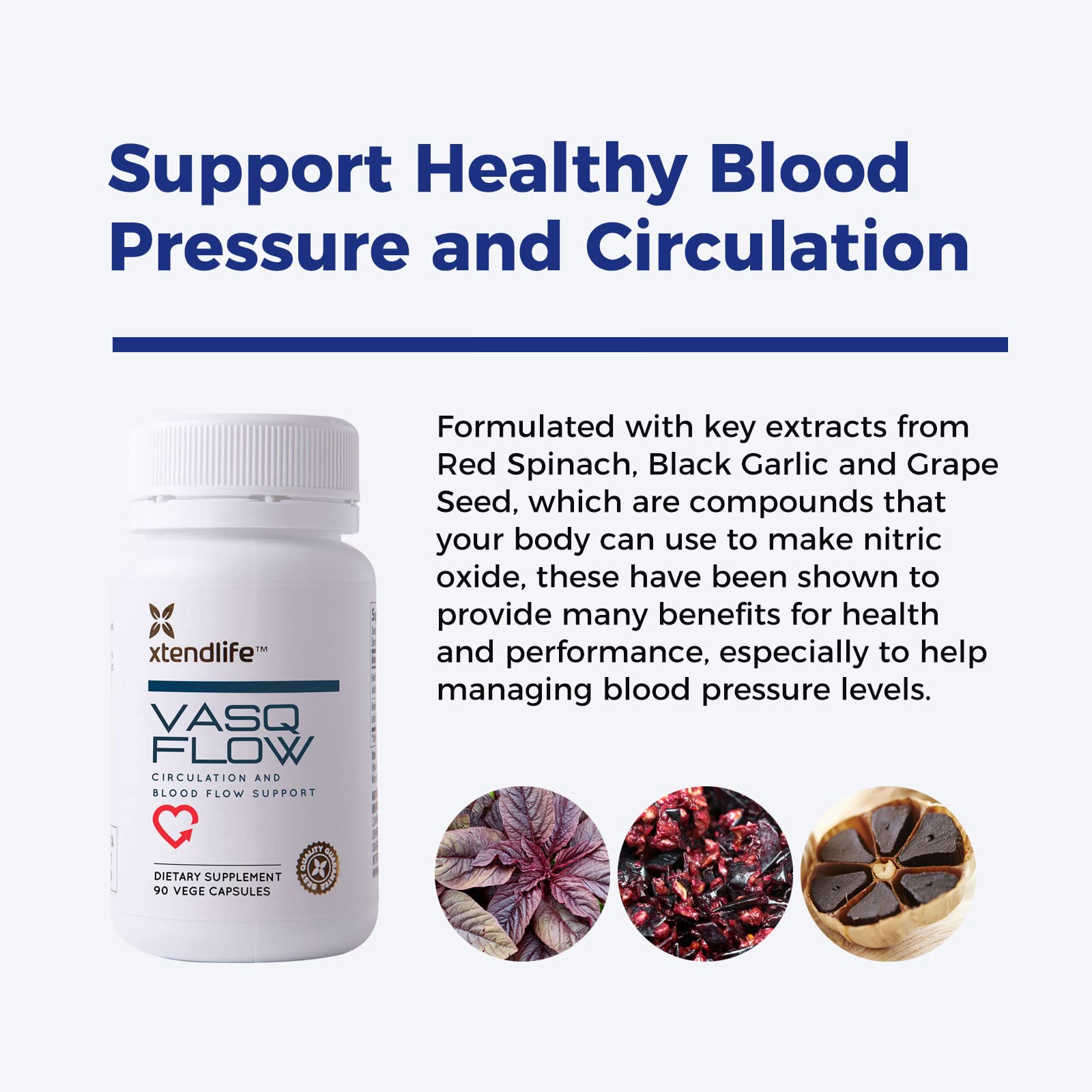 VasQFlow black garlic extract capsules highlighting antioxidants