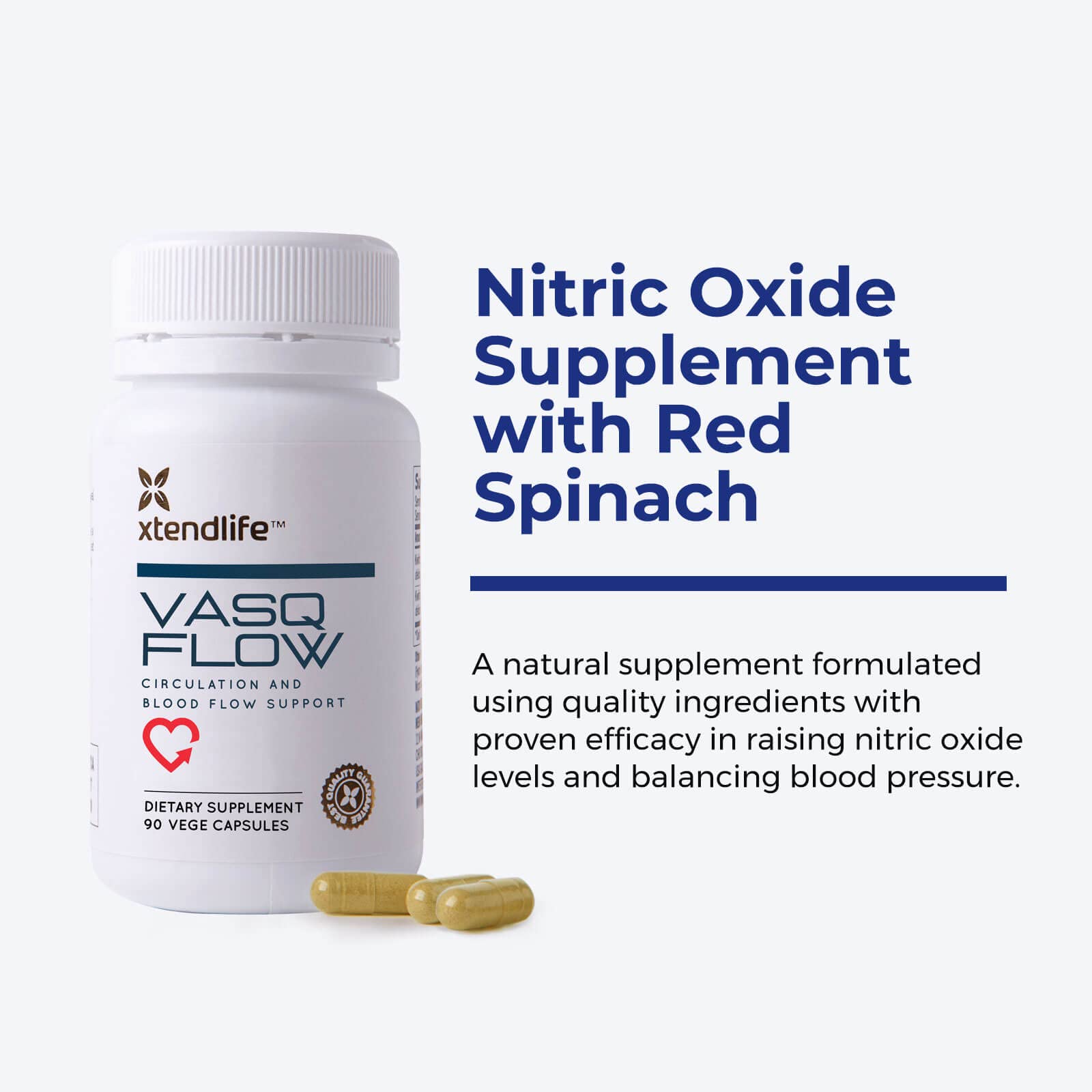 Close up of red spinach extract as VasQFlow nitrate source