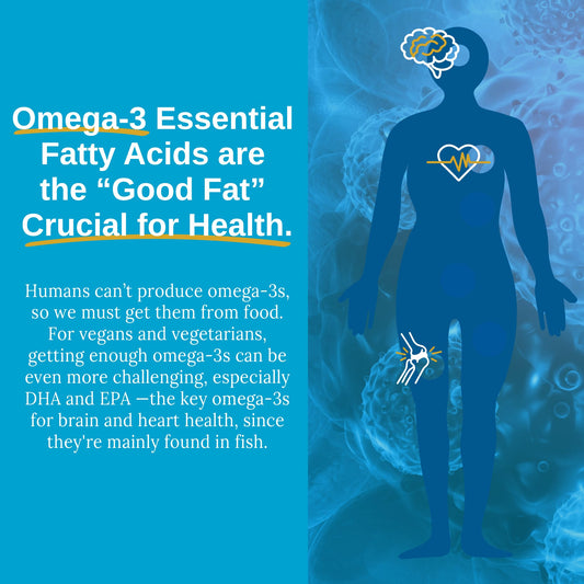 Xtendlife vegan Omega 3 capsules close-up shows algae-based source for daily use.