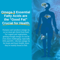 Xtendlife vegan Omega 3 capsules close-up shows algae-based source for daily use.