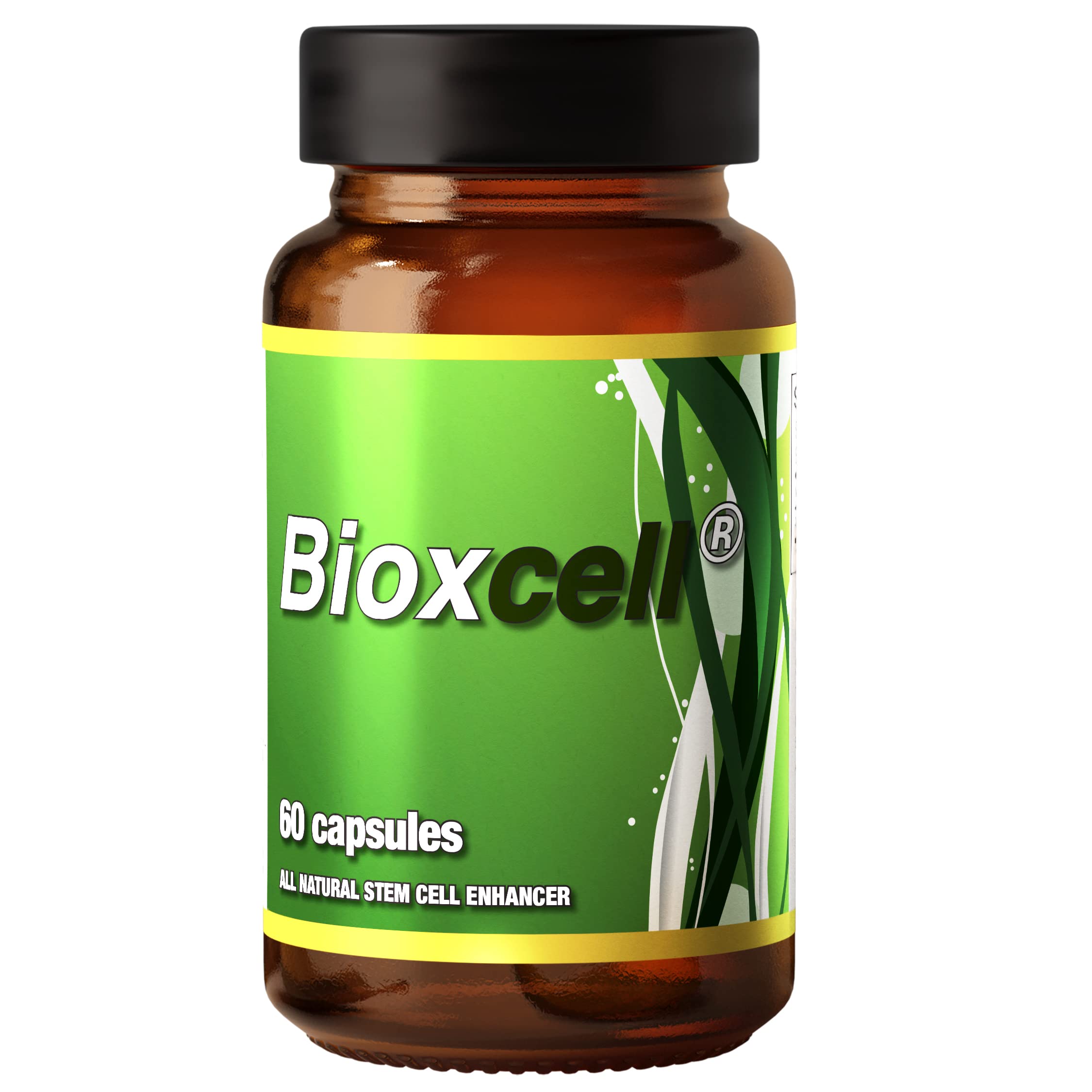 Xtreme Power Belt Bioxcell stemcells ingredients highlight AFA and spirulina for daily vitality.