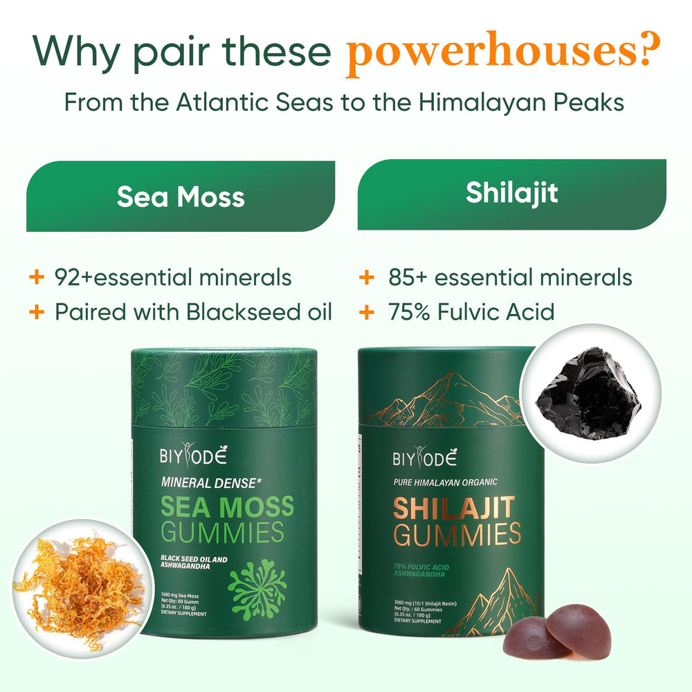 Xuore Shilajit & Sea Moss Gummies bottle shown for on-the-go daily support