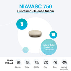Graphic of XYMOGEN NiaVasc wax-coated technology and seven to eight hour time-release design