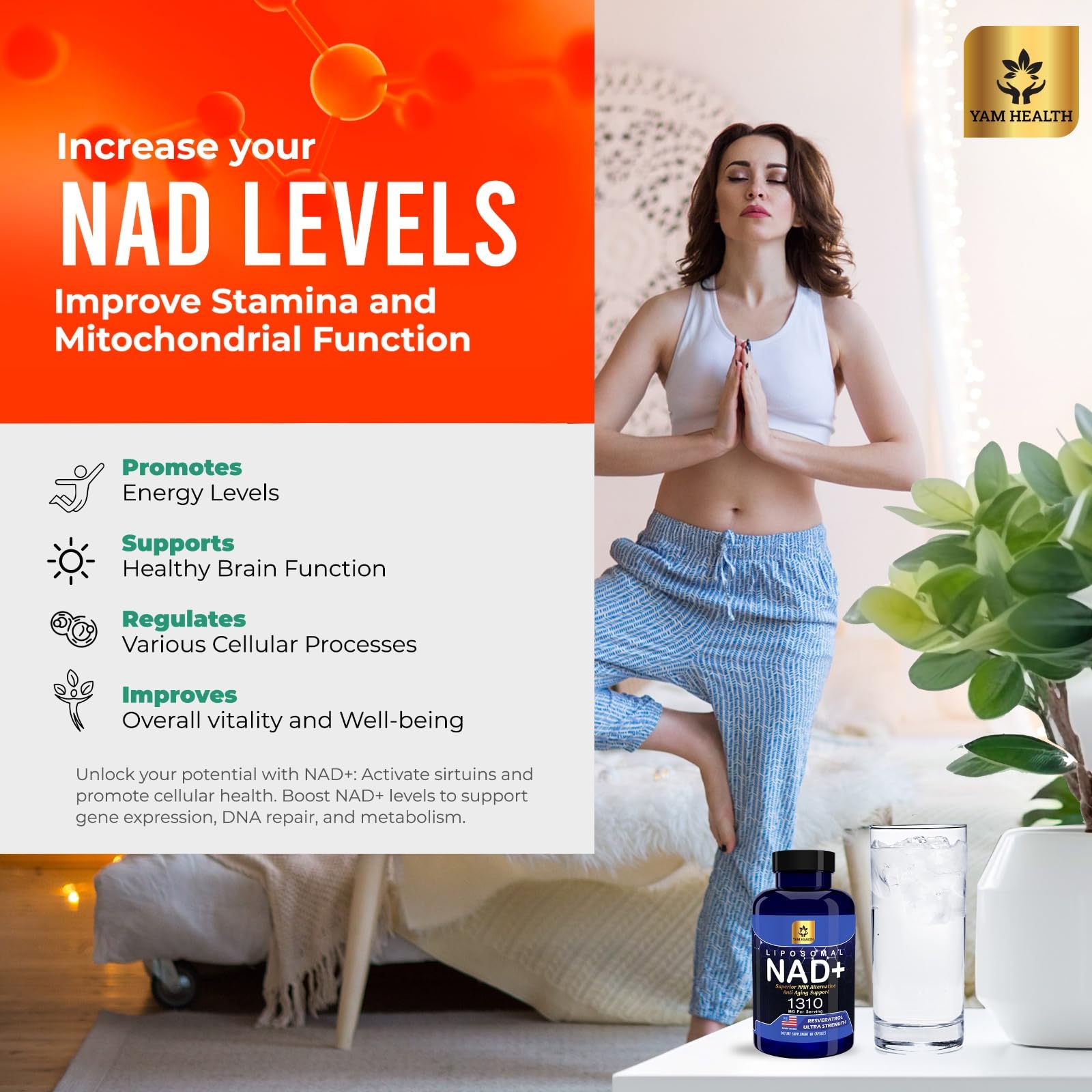 YAM Health Trans-Resveratrol blend visual suggesting antioxidant support and metabolism
