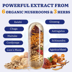 Yasumako chaga cordyceps lions mane capsules for focus and energy
