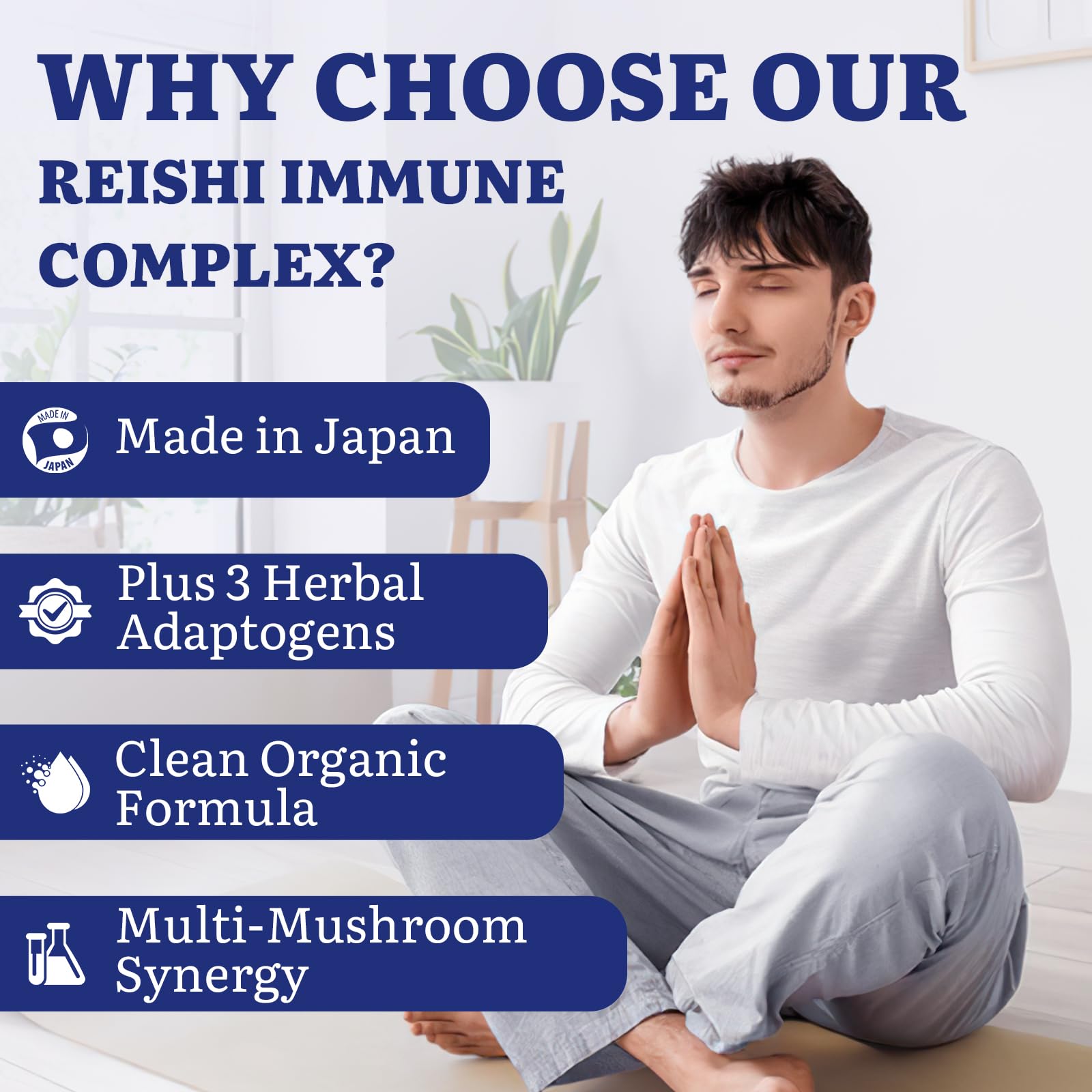 Yasumako maitake and agaricus mushroom extract capsules