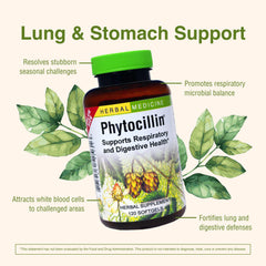 Yerba mansa leaf close-up associated with digestive aid.